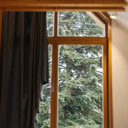 וילה Ambient *